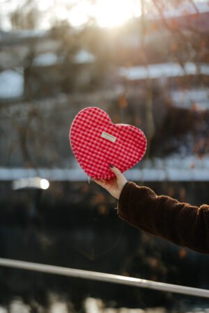 Trousse coeur vichy rouge/rose