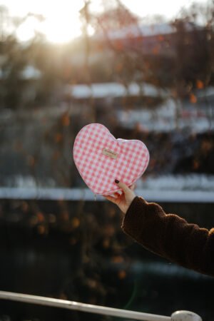 Trousse coeur vichy rose