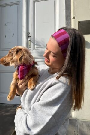 Bandanas Chiens