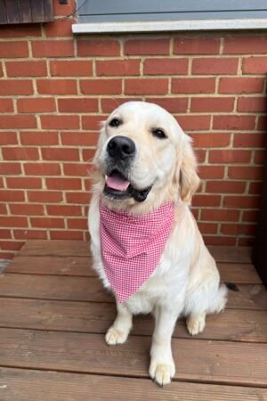 Bandana vichy rouge