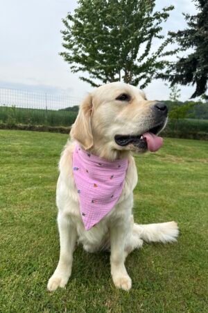 Bandana rose avec fleurs