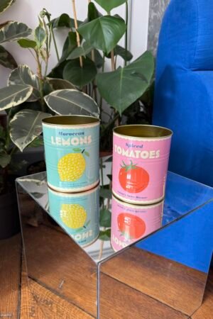 Boites conserves (2)